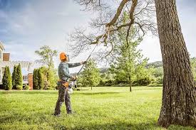  , FL Tree Removal and Landscaping Services Pros